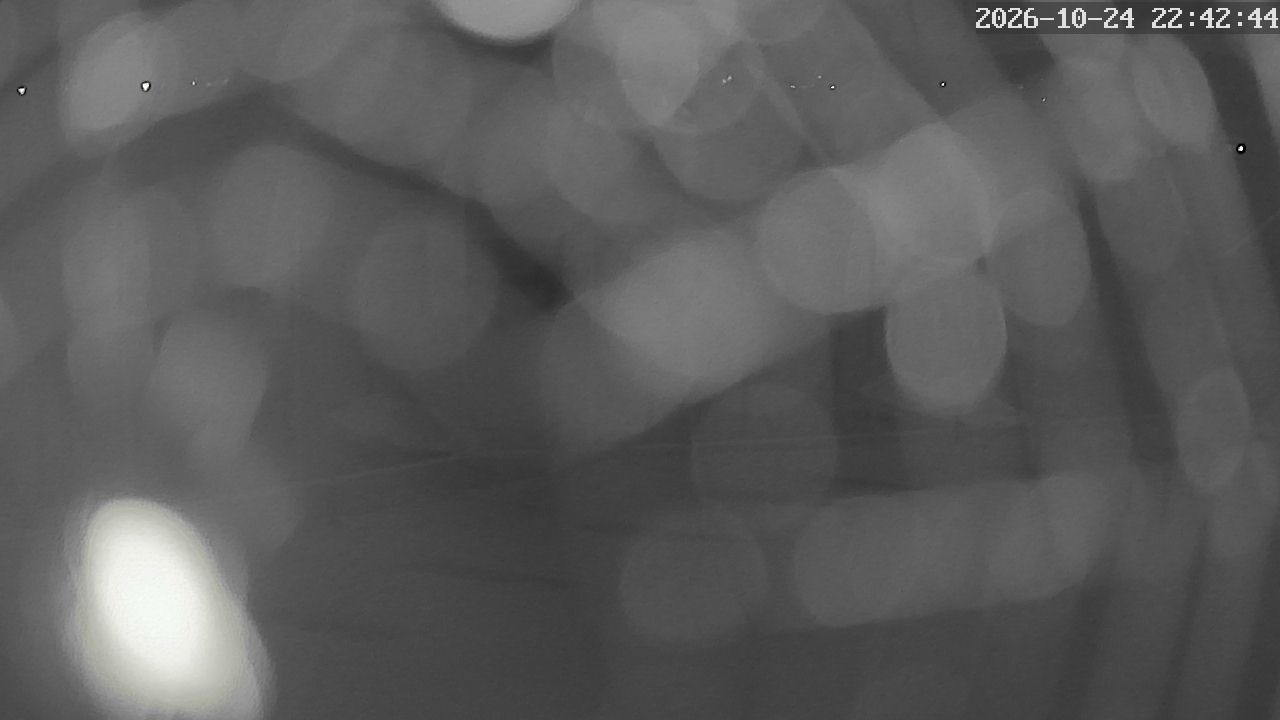 MRSV Bayern Webcam