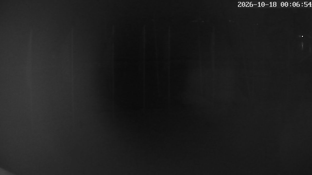 MRSV Bayern Webcam
