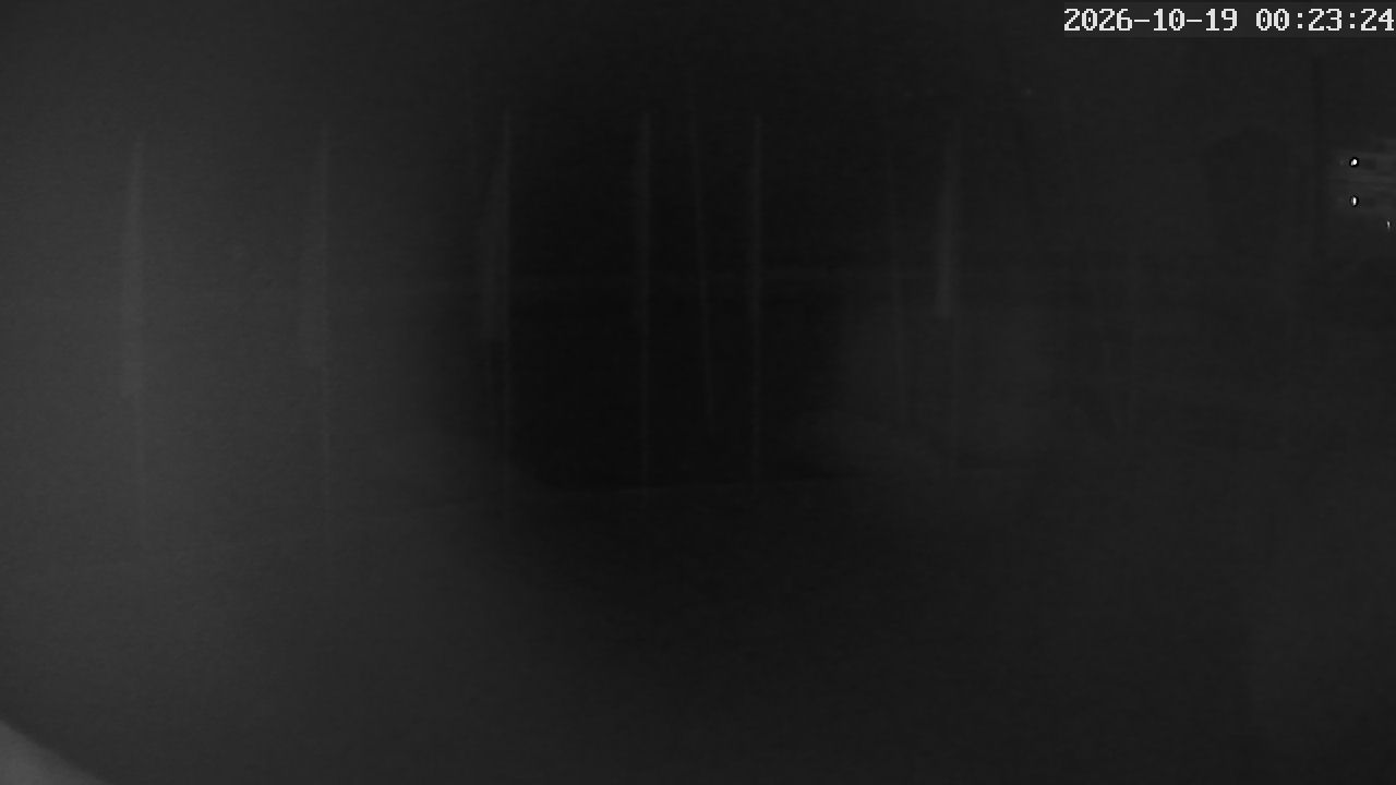 MRSV Bayern Webcam
