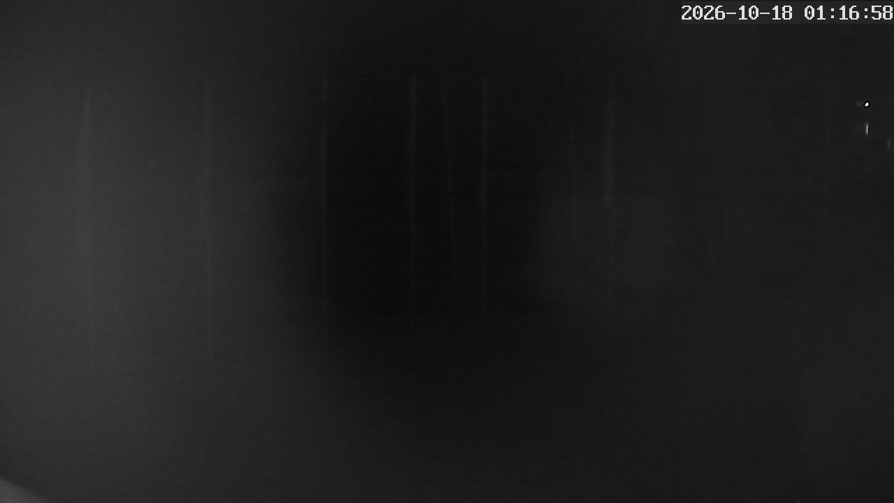 MRSV Bayern Webcam