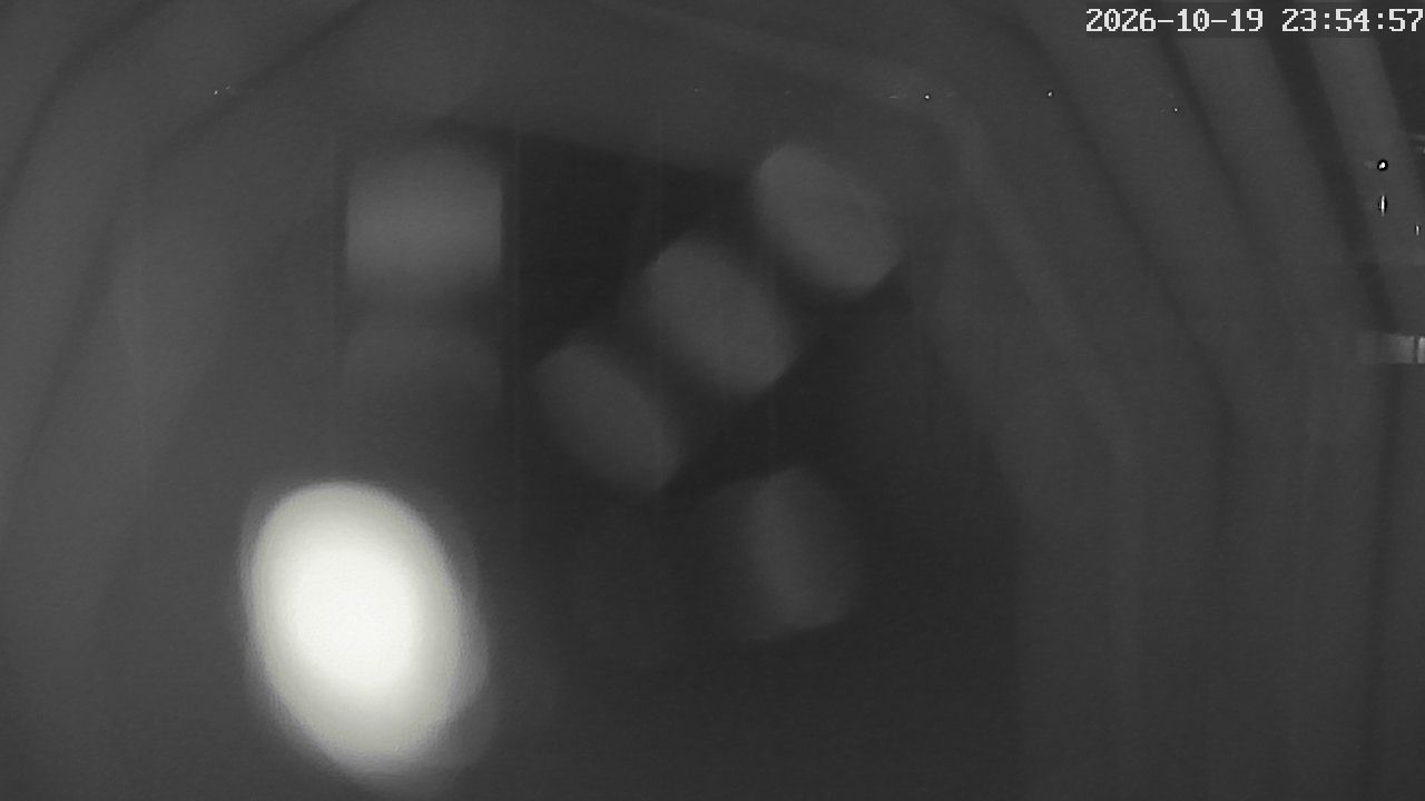 MRSV Bayern Webcam
