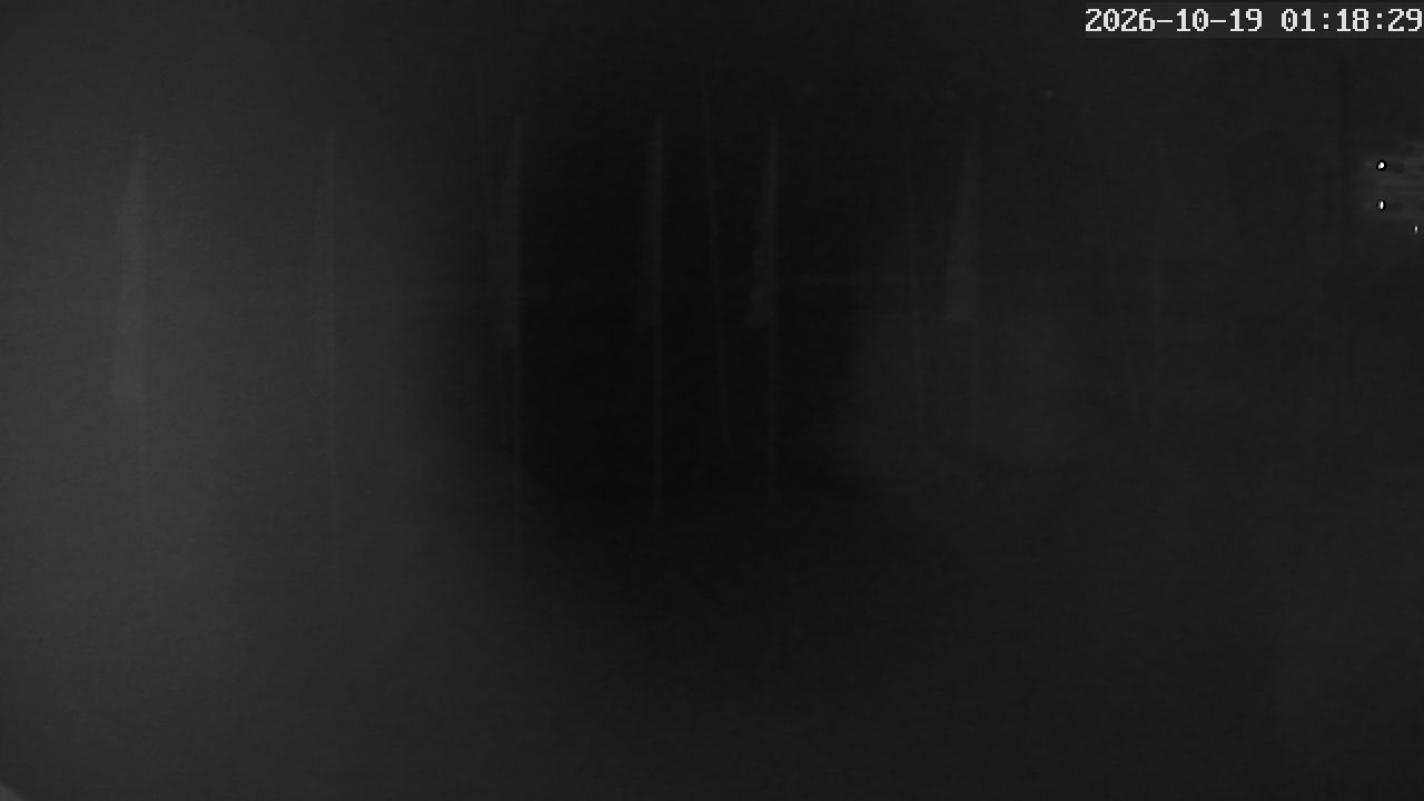 MRSV Bayern Webcam
