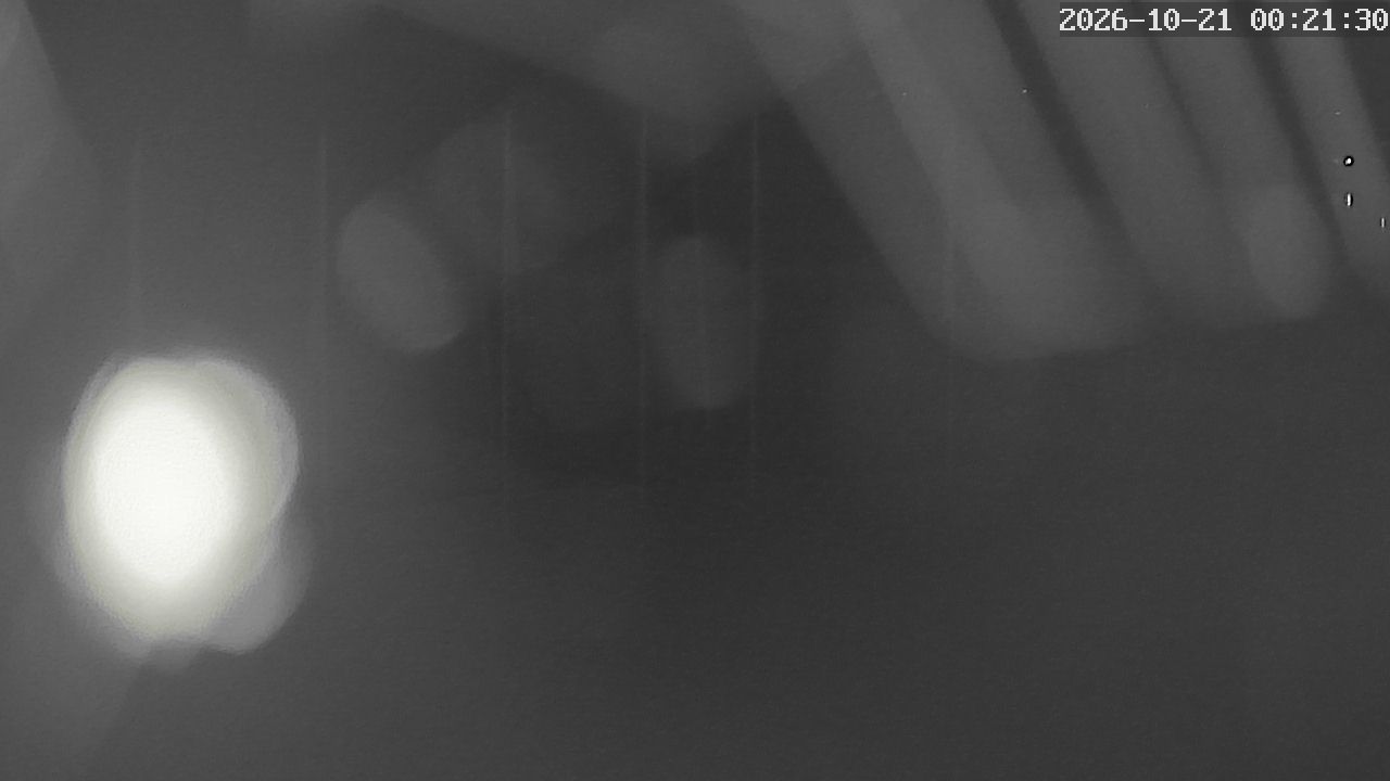 MRSV Bayern Webcam