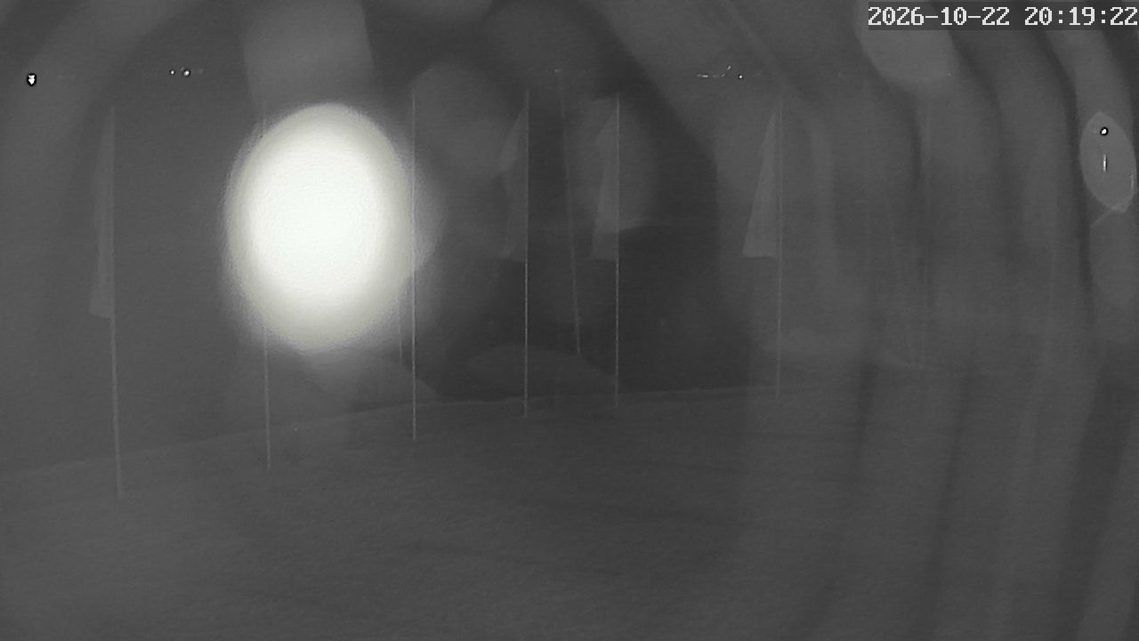 MRSV Bayern Webcam