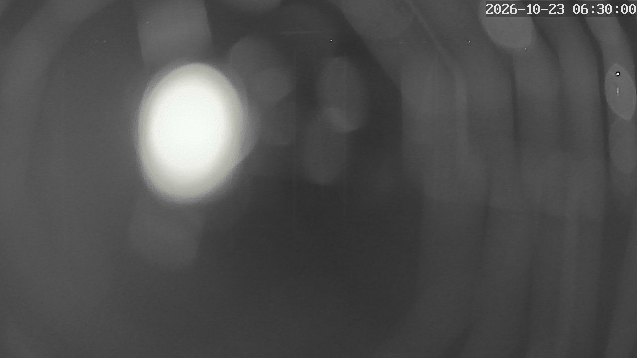 MRSV Bayern Webcam