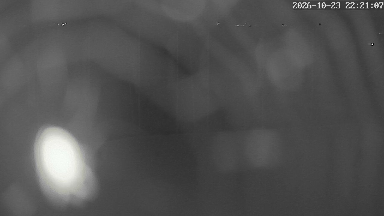 MRSV Bayern Webcam