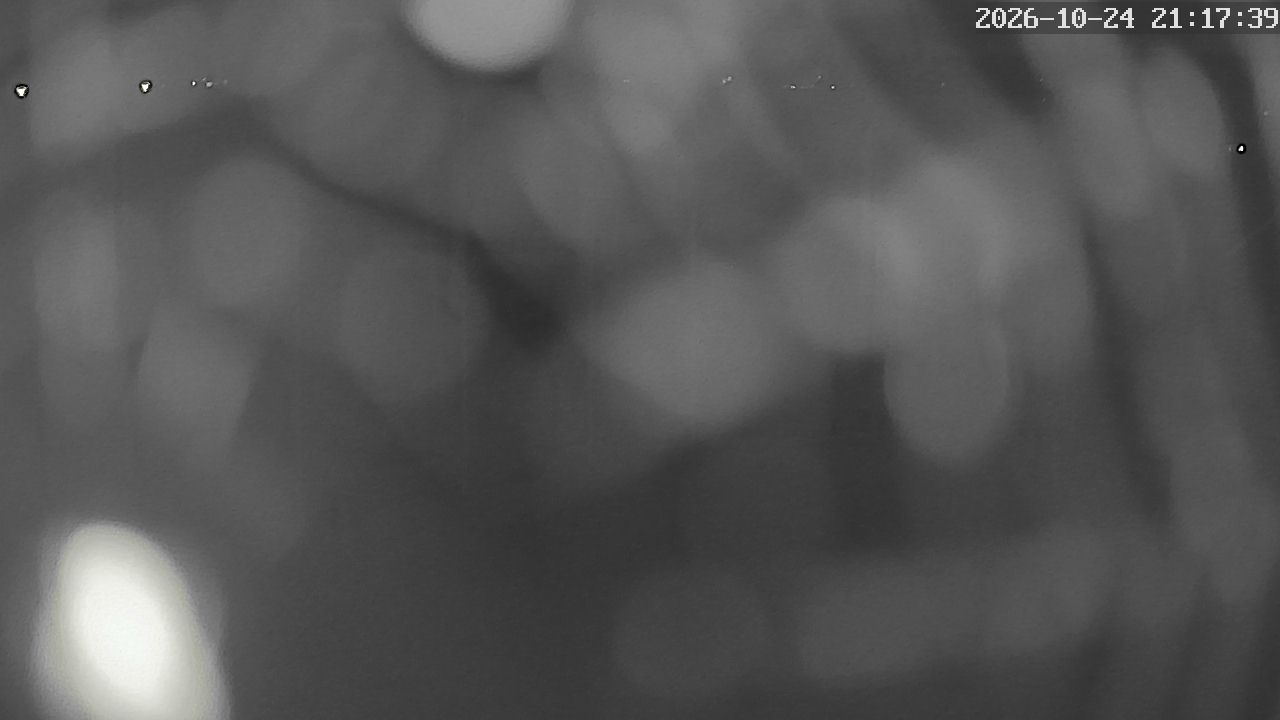 MRSV Bayern Webcam