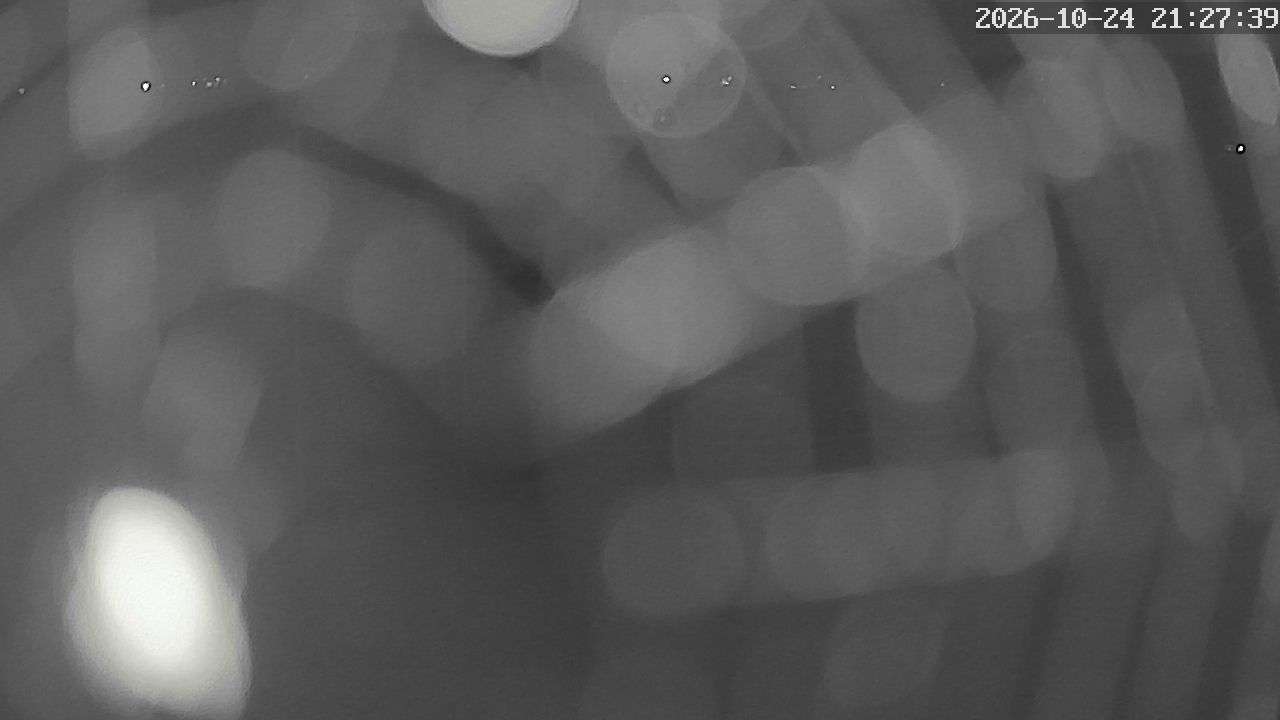 MRSV Bayern Webcam