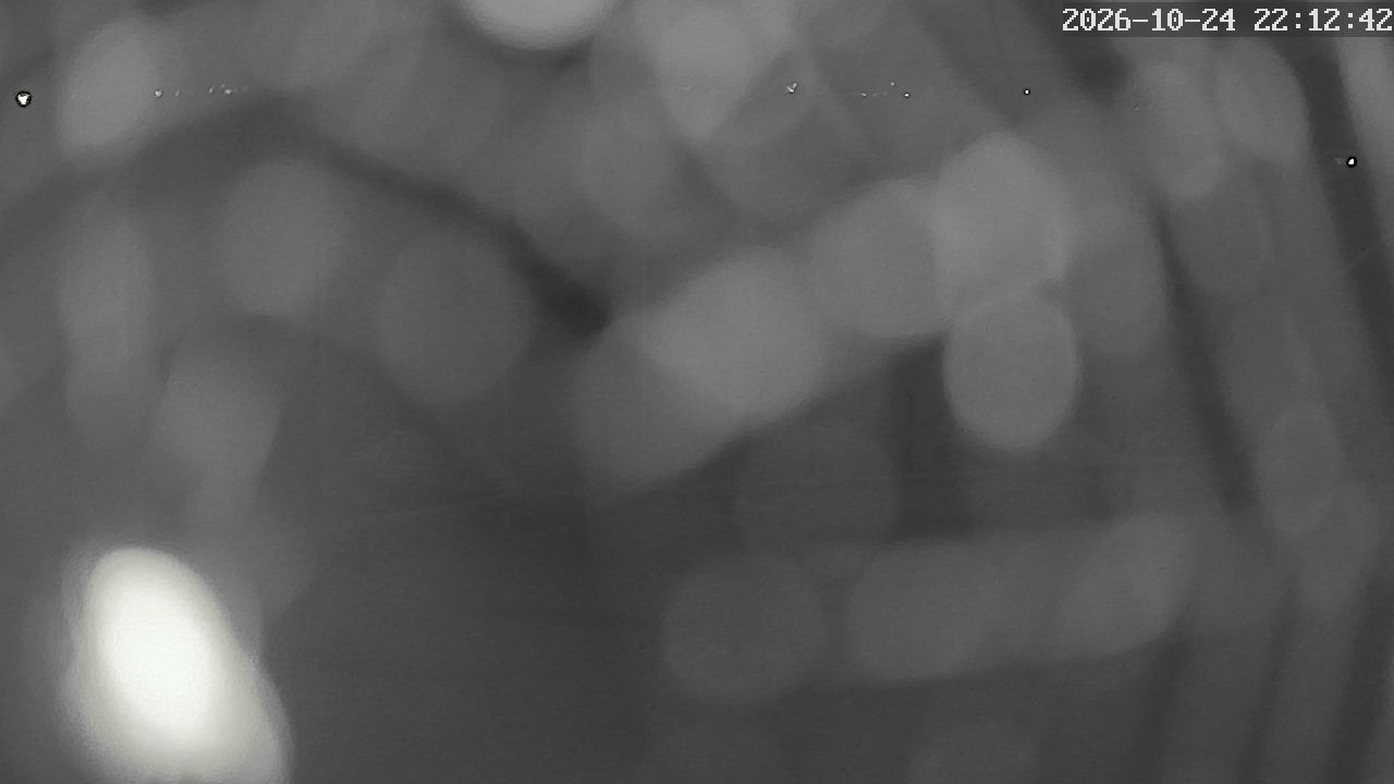 MRSV Bayern Webcam