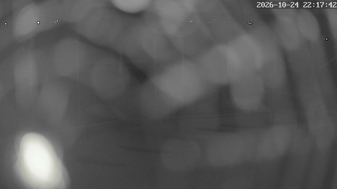 MRSV Bayern Webcam