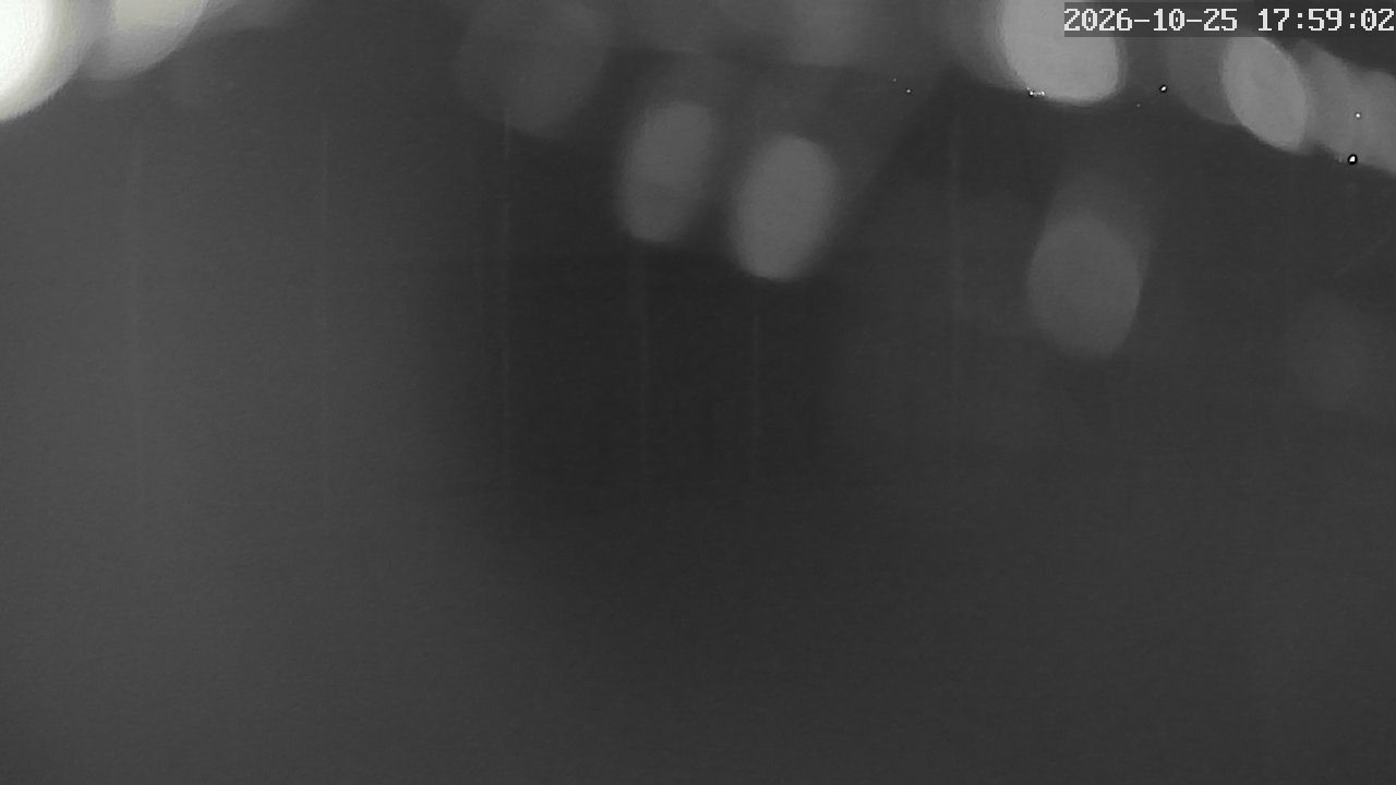 MRSV Bayern Webcam