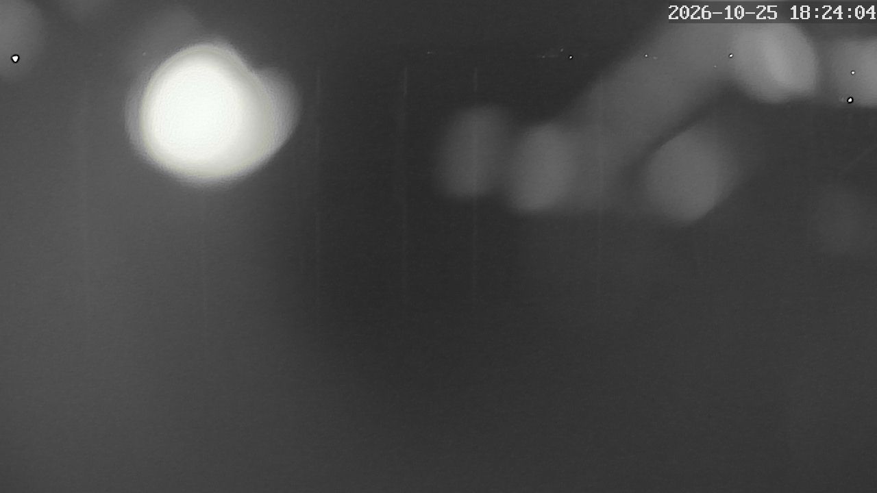 MRSV Bayern Webcam