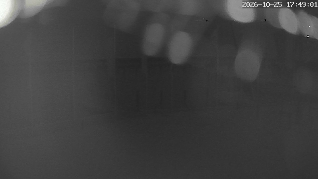 MRSV Bayern Webcam