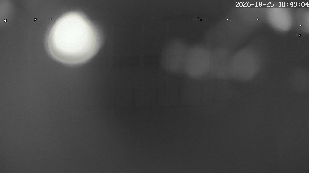 MRSV Bayern Webcam