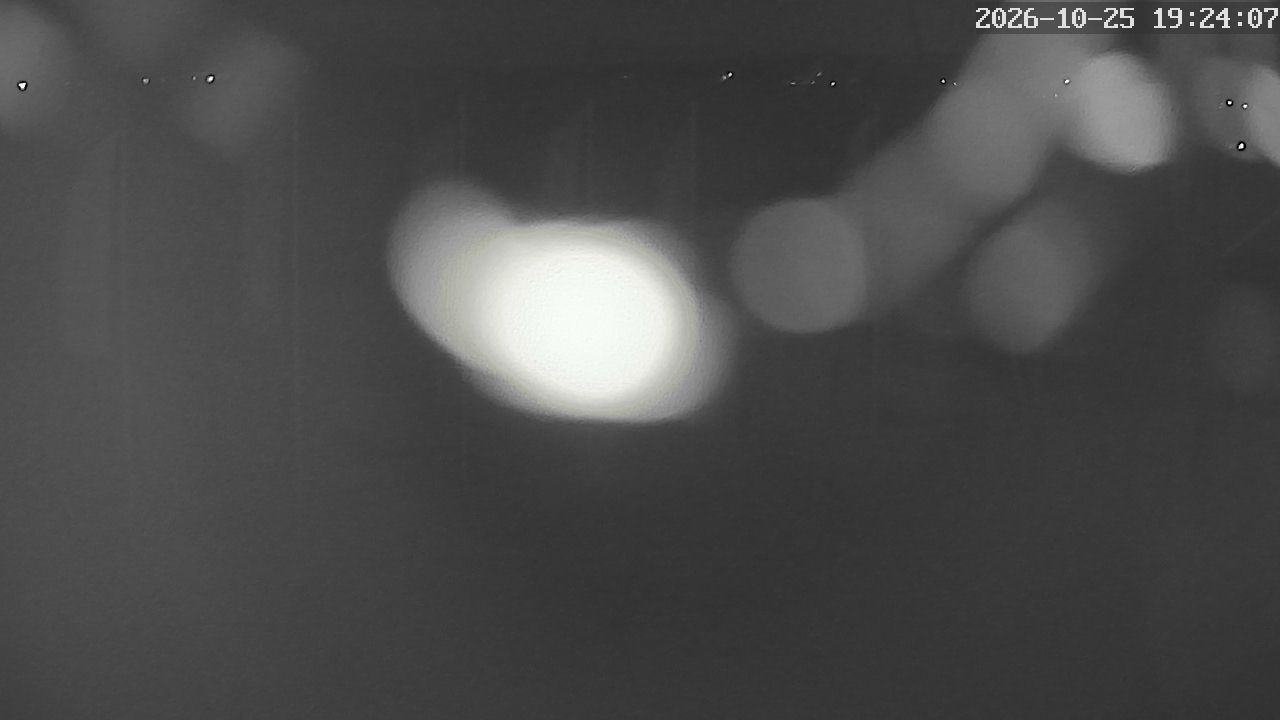 MRSV Bayern Webcam