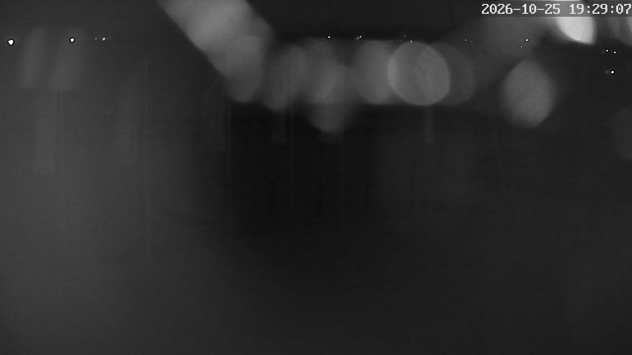MRSV Bayern Webcam