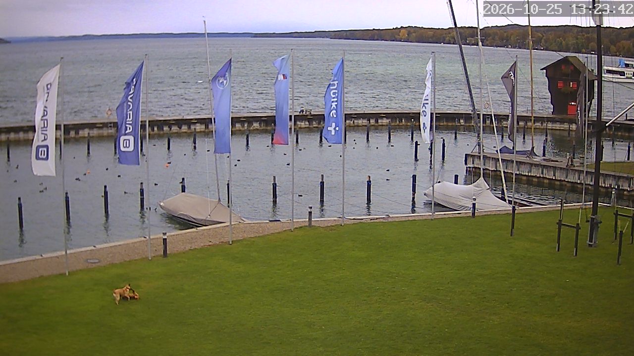 MRSV Bayern Webcam