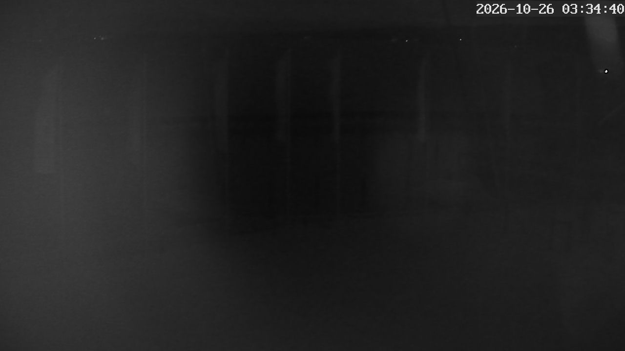 MRSV Bayern Webcam