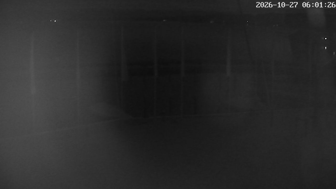 MRSV Bayern Webcam
