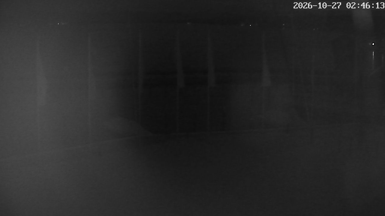 MRSV Bayern Webcam