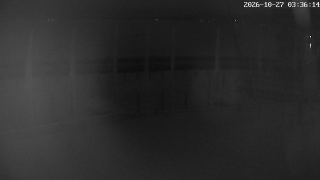 MRSV Bayern Webcam