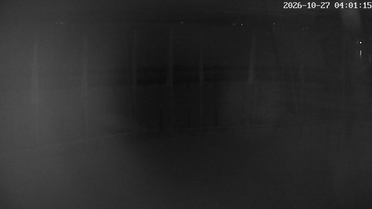 MRSV Bayern Webcam