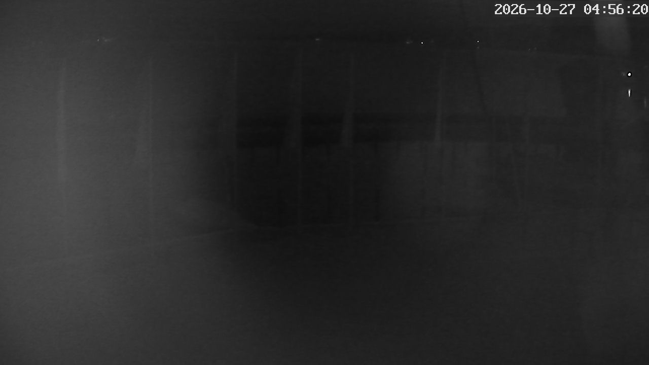 MRSV Bayern Webcam