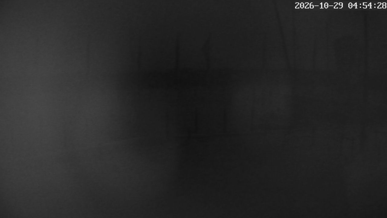 MRSV Bayern Webcam