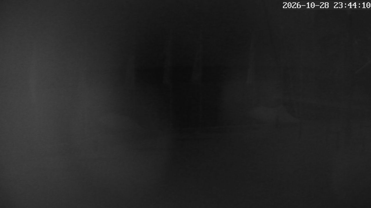 MRSV Bayern Webcam