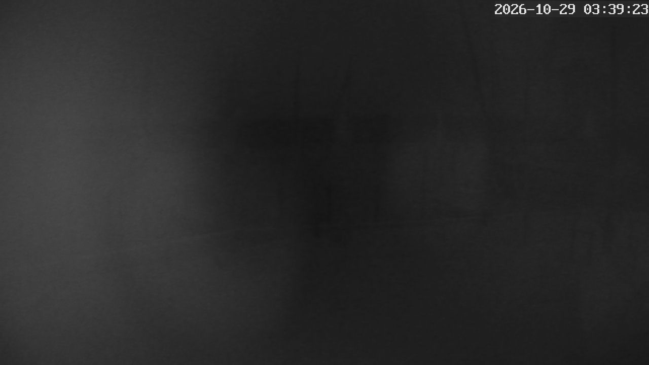 MRSV Bayern Webcam