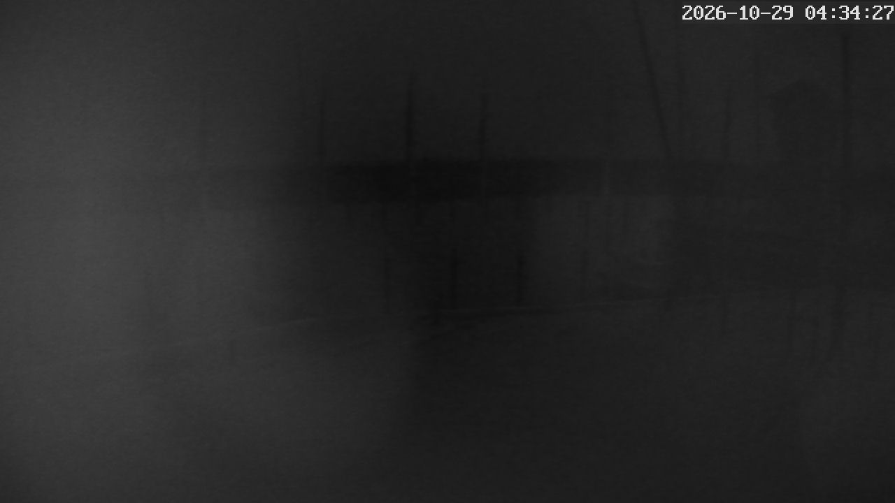 MRSV Bayern Webcam